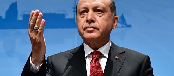  اردوغان: ترکیه 320 میلیارد متر مکعب گاز طبیعی کشف کرد - اسپوتنیک ایران  