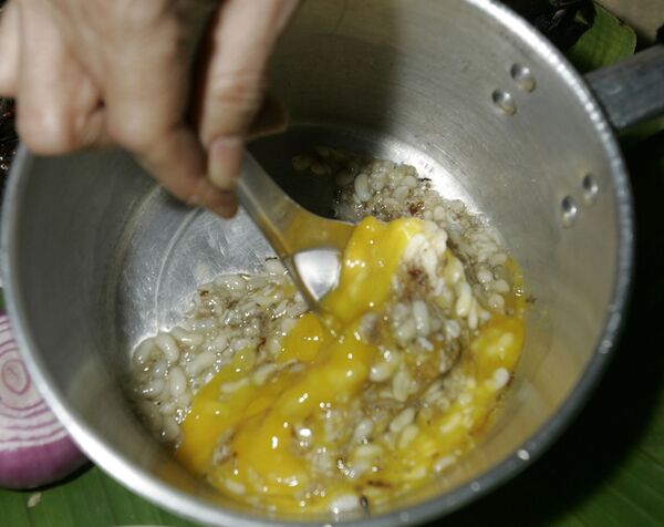 سوپ تخم مورچه های سفید سوپ تخم مورچه های سفید - اسپوتنیک ایران