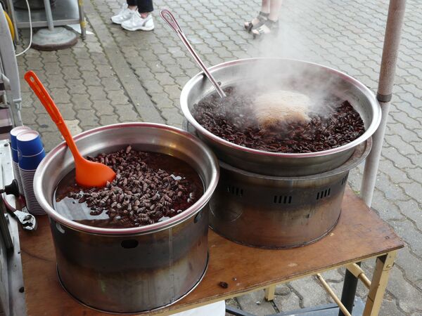 لاروی سرخ شده کرم ابریشم لاروی سرخ شده کرم ابریشم - اسپوتنیک ایران