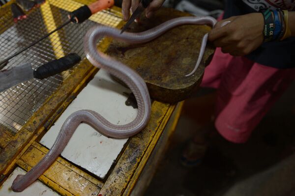 قلب مار کبرا قلب مار کبرا - اسپوتنیک ایران