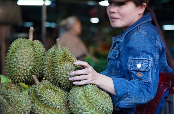 میوه دوریان میوه دوریان - اسپوتنیک ایران