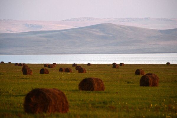 یونجه های بسته شده در زمینهای کشاورزی اطراف جمهوری خاکاسیا - اسپوتنیک ایران  