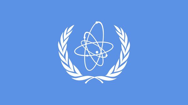هشدار مقام ایرانی به آژانس انرژی اتمی - اسپوتنیک ایران  