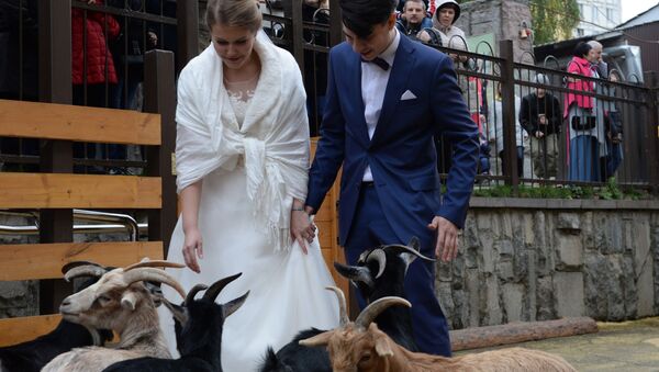 آنتون و ماریا کراوچنکو اولین زوجی که در باغ وحش مسکو ازدواج کردند - اسپوتنیک ایران  