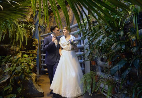 مراسم عروسی آنتون و ماریا کراوچنکو اولین زوجی که در باغ وحش مسکو ازدواج کردند - اسپوتنیک ایران  