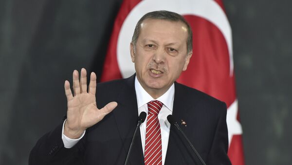 اردوغان: ترکیه  روسیه را شریک استراتژیک می داند و به خاطر واکنش مسکو  به سرنگونی سوخو 24 ناراحت است - اسپوتنیک ایران  
