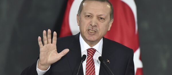 اردوغان اعلام کرد ترکیه ناو هواپیمابر می سازد - اسپوتنیک ایران  