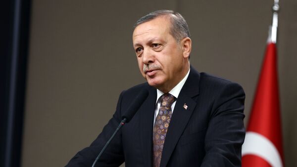 رجب طیب اردوغان،  رئیس جمهور ترکیه - اسپوتنیک ایران  