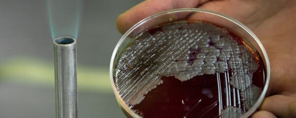 آنتی بیوتیک - اسپوتنیک ایران  