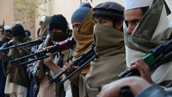 طالبان در آستانه تسخیر یکی از شهرستان های افغانستان - اسپوتنیک ایران  