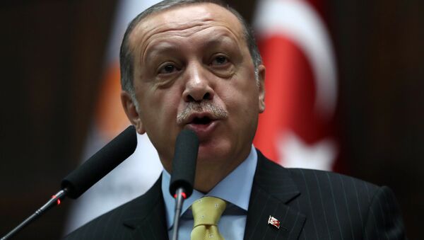 Президент Турции Реджеп Тайип Эрдоган - اسپوتنیک ایران  