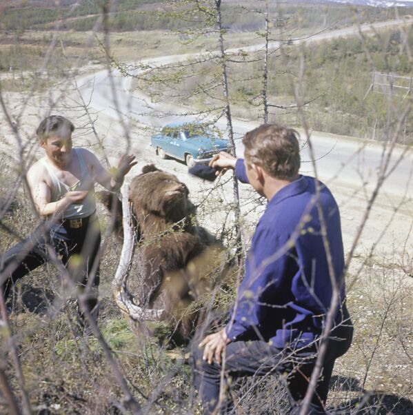 بازی با خرس در زمان شوروی - اسپوتنیک ایران  
