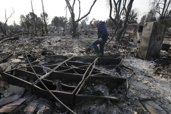 فیل راش در میان خاکسترهای خانه سوخته خود در شهر سانتا رزا پس از آتش سوزی مهیب در کالیفرنیا - آمریکا - اسپوتنیک ایران  