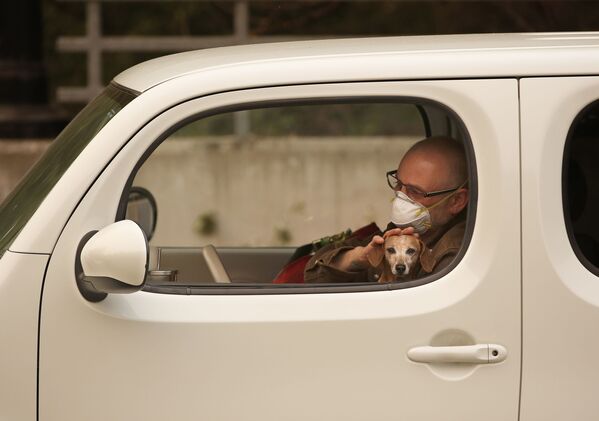 کریس شیری همراه با سگ خود در انتظار انتقال از شهر سونوما -آمریکا - اسپوتنیک ایران  