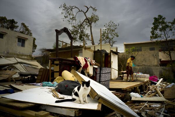 خرابی های پس از طوفان «ماریا» در شهر سان خوان ، پورتو ریکو - اسپوتنیک ایران  