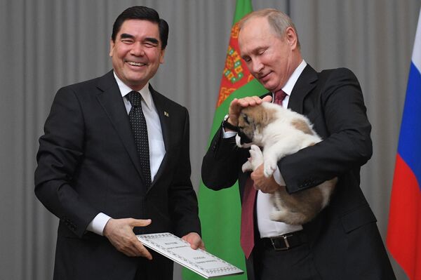 رئیس جمهور ترکمنستان یک سگ نژاد آلابای را به ولادیمیر پوتین هدیه می دهد - اسپوتنیک ایران  