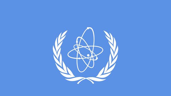 آژانس از گمانه زنی های برنامه هسته ای ایران جلوگیری می کند - اسپوتنیک ایران  
