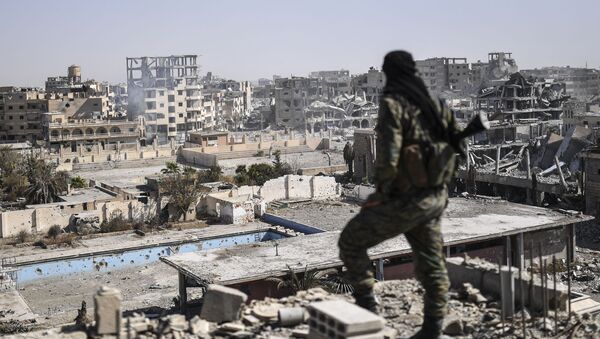 Боец Сирийских демократических сил смотрит на город Ракку после того, как он был освобожден от боевиков ИГ (запрещена в России) - اسپوتنیک ایران  