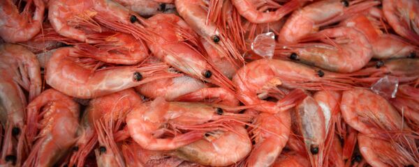Креветки - اسپوتنیک ایران  