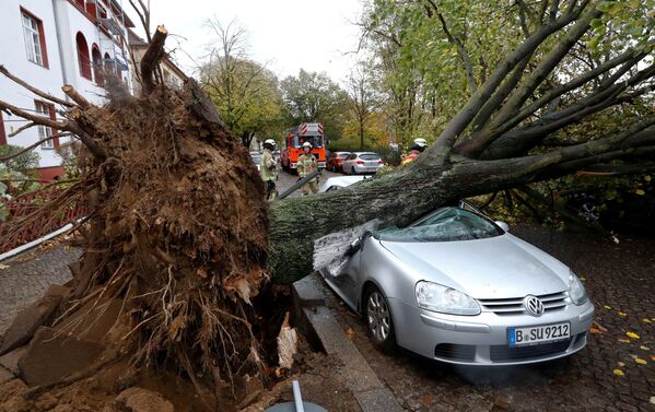 آتش نشان ها در محل افتادن درخت روی ماشین در نتیجه طوفان « هروارت» در برلین ، آلمان - اسپوتنیک ایران  