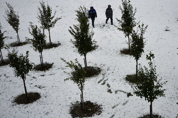 برف در محل تفریحی «روزا خوتور» در کراسنایا پالیانا ، سوچی - اسپوتنیک ایران  