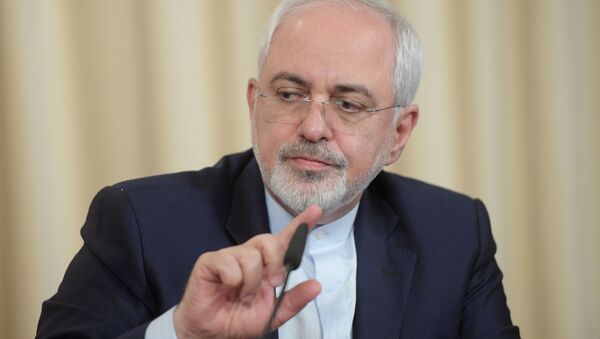 محمدجواد ظریف وزیر امور خارجه ایران - اسپوتنیک ایران  
