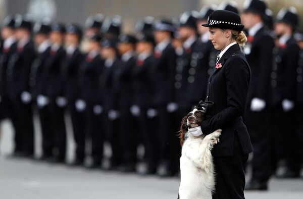 افسر پلیس با سگش در رژه پلیس در لندن - اسپوتنیک ایران  
