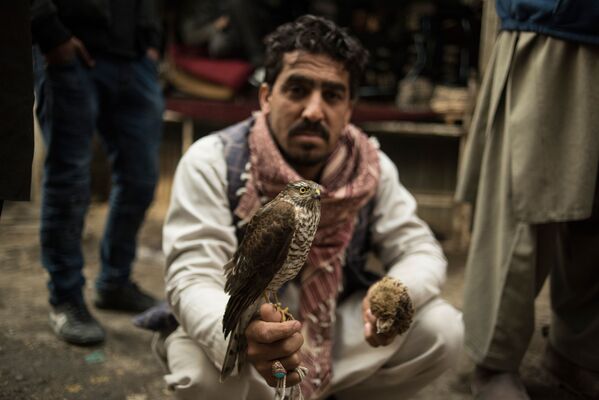فروشنده بازار پرنده در کابل - اسپوتنیک ایران  
