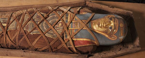 کشف راز چندین قرنی اجساد مومیایی شده مصر باستان کشف راز چندین قرنی اجساد مومیایی شده مصر باستان - اسپوتنیک ایران