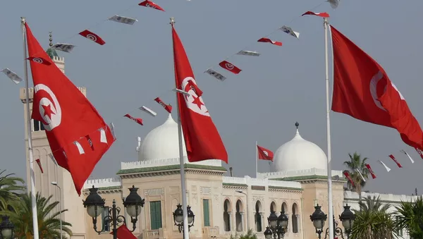 یک فروند جنگنده ارتش تونس سقوط کرد - اسپوتنیک ایران  