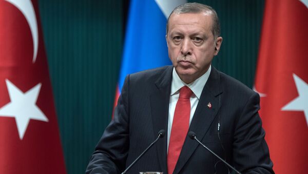 شرط اردوغان برای استعفا - اسپوتنیک ایران  