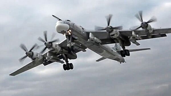 پرواز جنگنده های ژاپن و کره بخاطر بمب افکن روس - اسپوتنیک ایران  