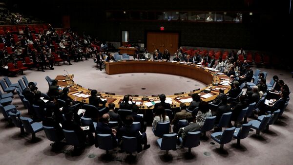 شورای امنیت سازمان ملل - اسپوتنیک ایران  