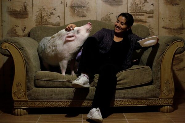 Yissel Mendoza و خوکش با نامBalu  در خانه اش در شهر سیوداد خوارز ، مکزیک - اسپوتنیک ایران  