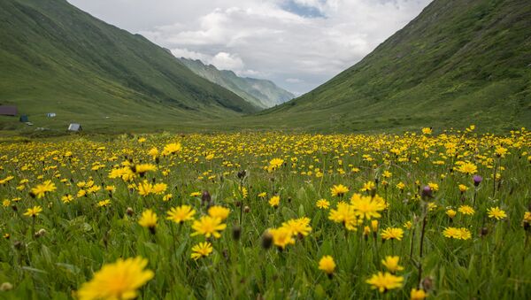 پارک ملی قفقاز - اسپوتنیک ایران  