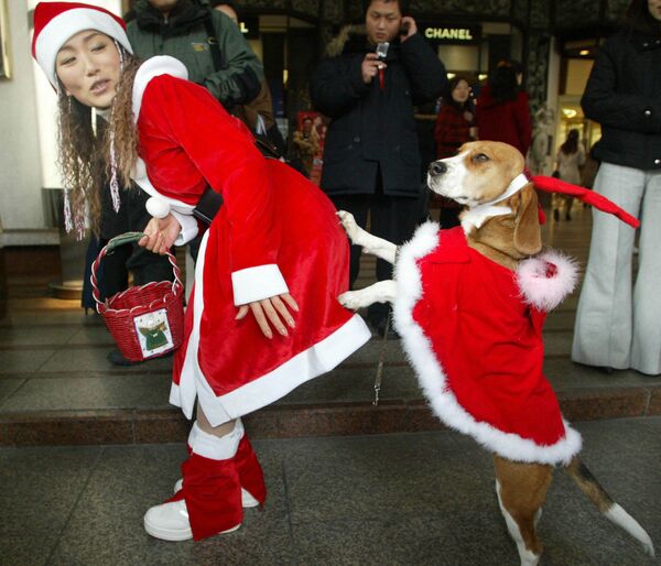 دختری با سگش در لباس بابانوئل در مغازه ای در سئول - اسپوتنیک ایران  