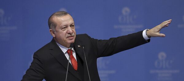 اردوغان: اسرائیل هیچ فرقی با نازی ها ندارد اردوغان: اسرائیل هیچ فرقی با نازی ها ندارد - اسپوتنیک ایران