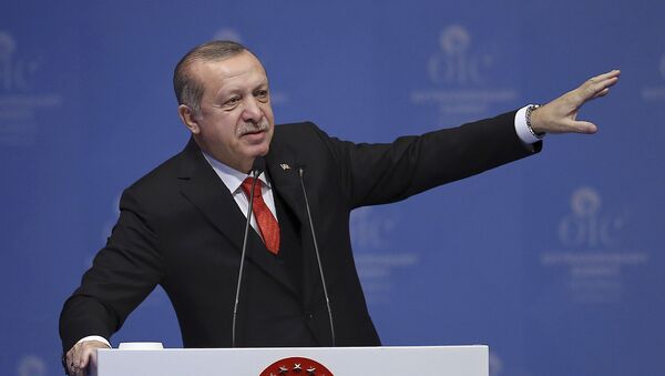 اردوغان، رئیس جمهور ترکیه - اسپوتنیک ایران  