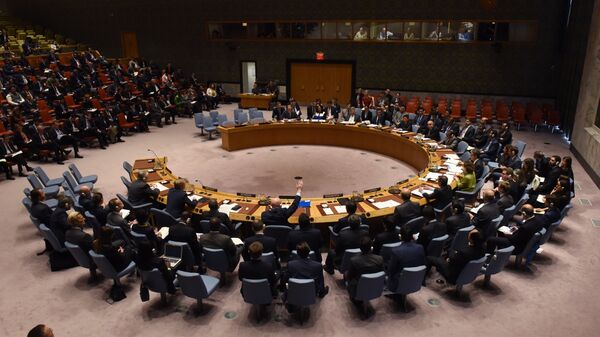 انتخاب اعضای غیر دائمی جدید شورای امنیت سازمان ملل  - اسپوتنیک ایران  