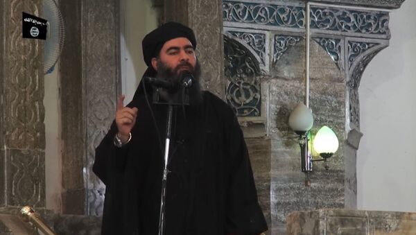 ابوبکر البغدادی سرکرده گروه تروریستی داعش  - اسپوتنیک ایران  