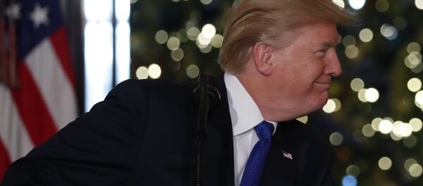 پرداخت حق السکوت به ستاره قیلم های پورنو برای فاش نکردن رابطه اش با ترامپ - اسپوتنیک ایران  