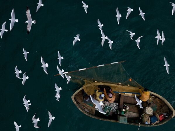 ماهیگیران در حال ماهیگیری در دریایی سیاه سواستاپل - اسپوتنیک ایران  