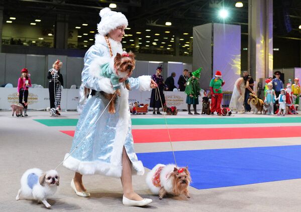 سگ ها و صاحبشان در مسابقه « سگ طلایی سال» در مسکو - اسپوتنیک ایران  