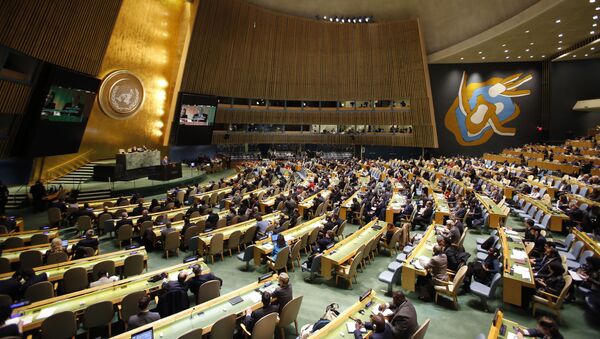 تاکید دوباره سازمان ملل بر اجرای برجام  - اسپوتنیک ایران  