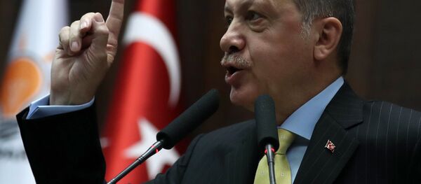 رجب طیب اردوغان، رئیس جمهور ترکیه رجب طیب اردوغان، رئیس جمهور ترکیه - اسپوتنیک ایران