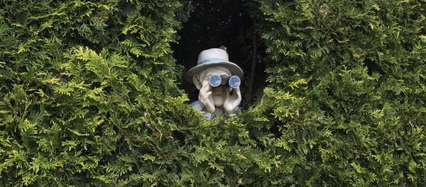 متهم شدن مامور اطلاعات آمریکا برای انتقال اطلاعات سری به ایران متهم شدن مامور اطلاعات آمریکا برای انتقال اطلاعات سری به ایران - اسپوتنیک ایران