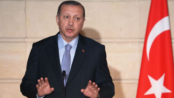 اردوغان: ترکیه به عملیات عفرین اکتفا نخواهد کرد - اسپوتنیک ایران  