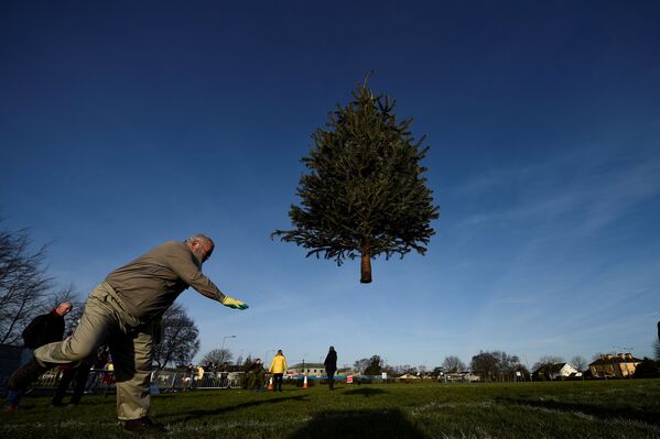 یکی از شرکت کنندگان در مسابقه پرتاب درخت کریسمس در ایرلند - اسپوتنیک ایران  