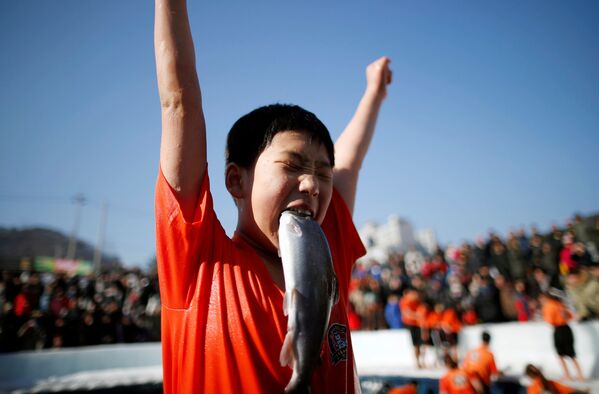 ماهیگیری با دست خالی، فستیوال یخ در کره جنوبی - اسپوتنیک ایران  