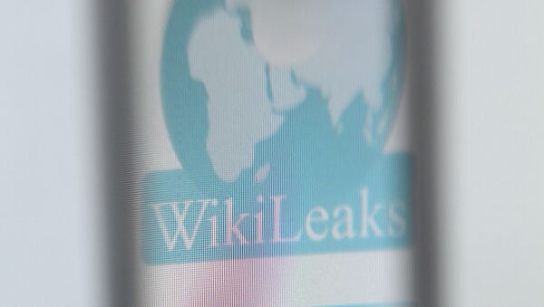 WikiLeaks ویکیلیکس - اسپوتنیک ایران  